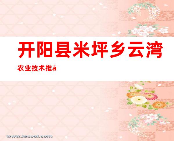 开阳县米坪乡云湾农业技术推广服务有限公司